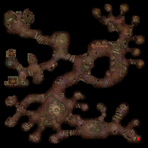 Confused Snake's Nest minimap
