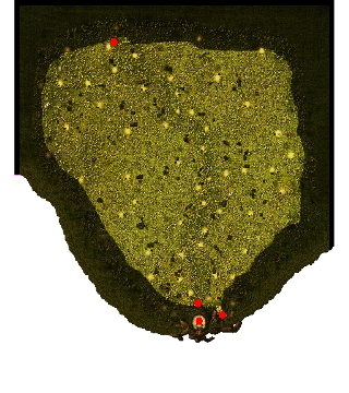 Blooming Flower Land minimap
