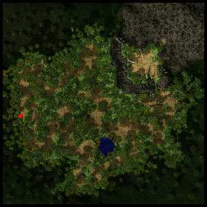 Dremuci Forest minimap