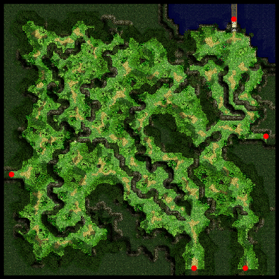Payon Forest minimap