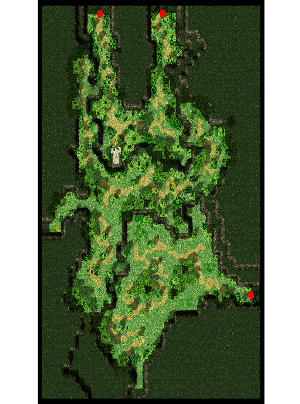 Payon Forest minimap