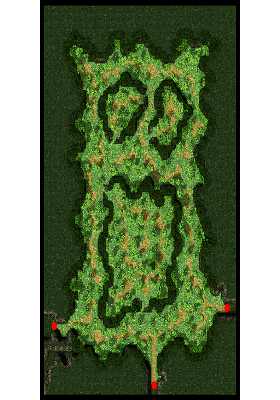Payon Forest minimap