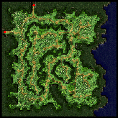 Payon Forest minimap